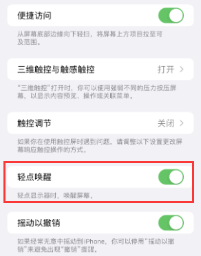 琼中苹果授权维修站分享iPhone轻点无法唤醒怎么办 