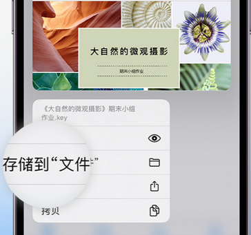 琼中apple维修中心分享iPhone文件应用中存储和找到下载文件