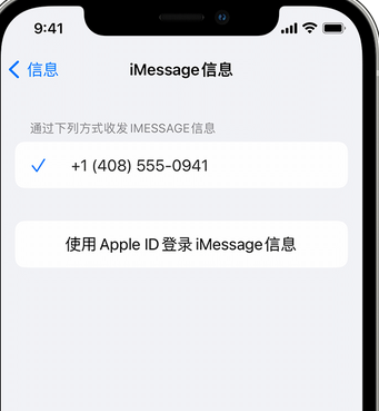 琼中apple维修iPhone上无法正常发送iMessage信息 