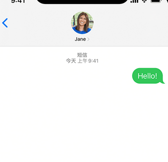 琼中apple维修iPhone上无法正常发送iMessage信息