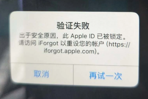 琼中iPhone维修分享iPhone上正常登录或使用AppleID怎么办 