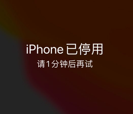 琼中苹果手机维修分享:iPhone 显示“不可用”或“已停用”怎么办？还能保留数据吗？ 