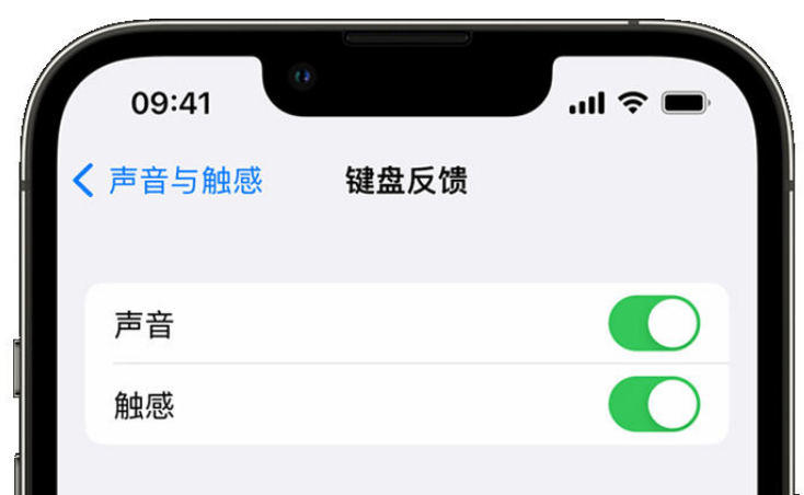 琼中苹果手机维修分享iPhone 14触感键盘使用方法 