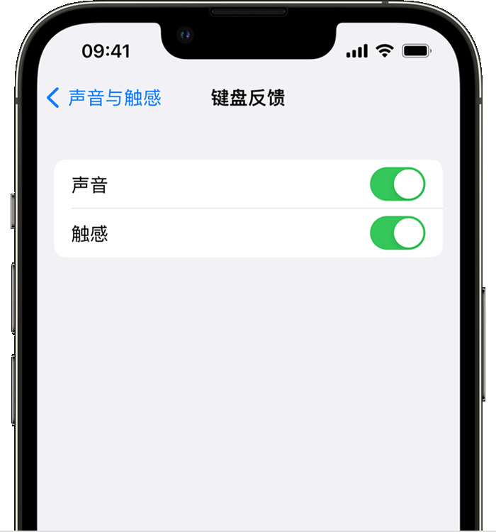 琼中苹果14维修店分享如何在 iPhone 14 机型中使用触感键盘 