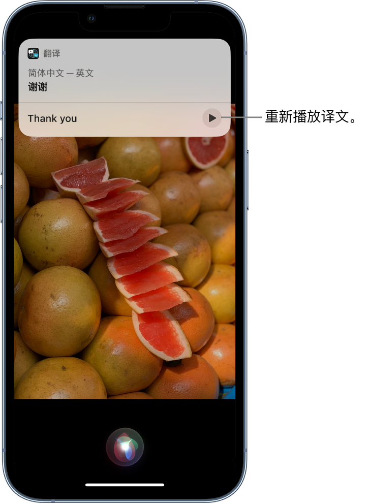 琼中苹果14维修分享 iPhone 14 机型中使用 Siri：了解 Siri 能帮你做什么 