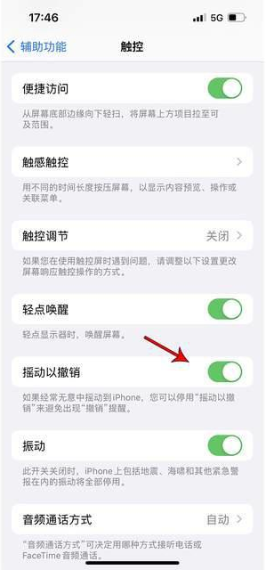 琼中苹果手机维修分享iPhone手机如何设置摇一摇删除文字 