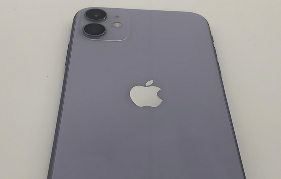 琼中苹果11系统维修分享iPhone11手机系统崩溃无法开机如何解决